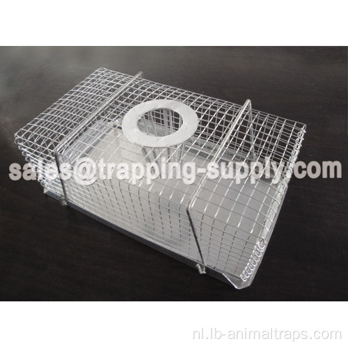Humane Top-Entry Mouse Trap Cage